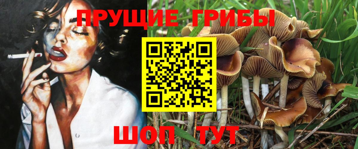 Галлюциногенные грибы Cubensis  Галлюциногенные грибы Magic Shrooms  Вход с VPN  Мценск 
